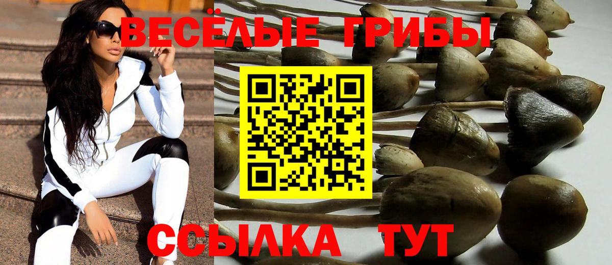 Галлюциногенные грибы MAGIC MUSHROOMS  Вход с VPN  Кудымкар 