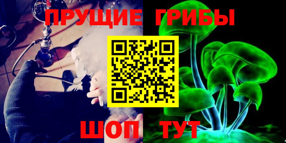 Псилоцибиновые грибы Cubensis Кудымкар